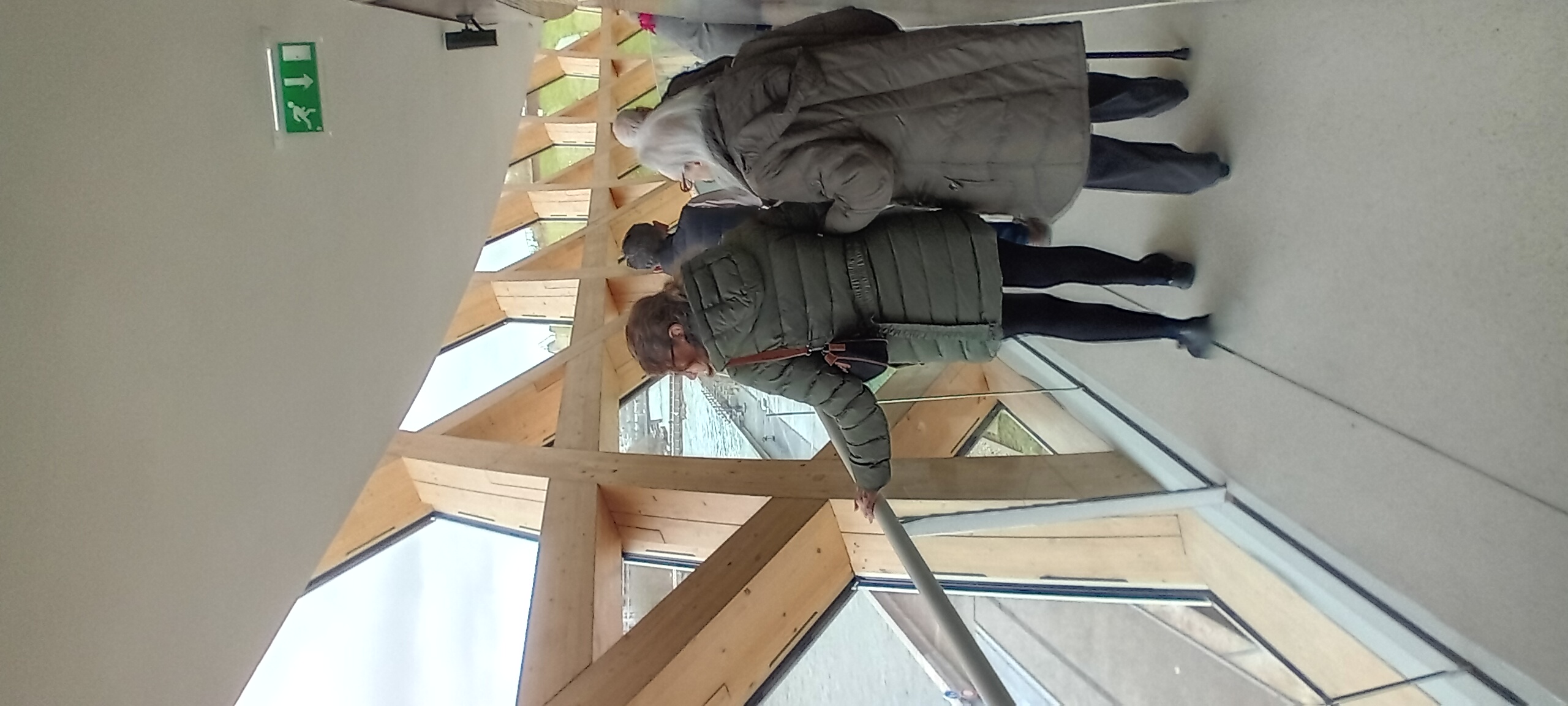 insula orchestra insula orchestra