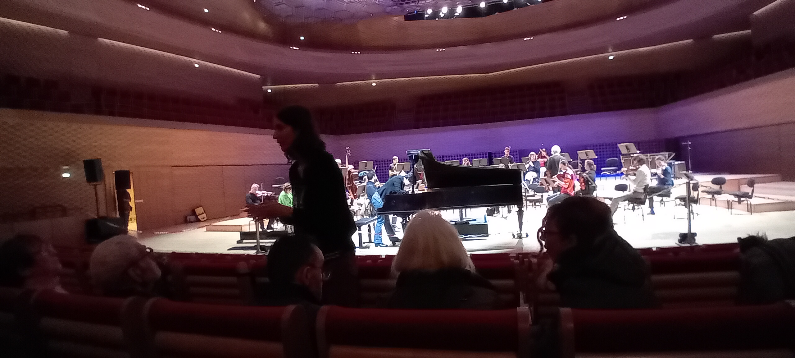 insula orchestra insula orchestra