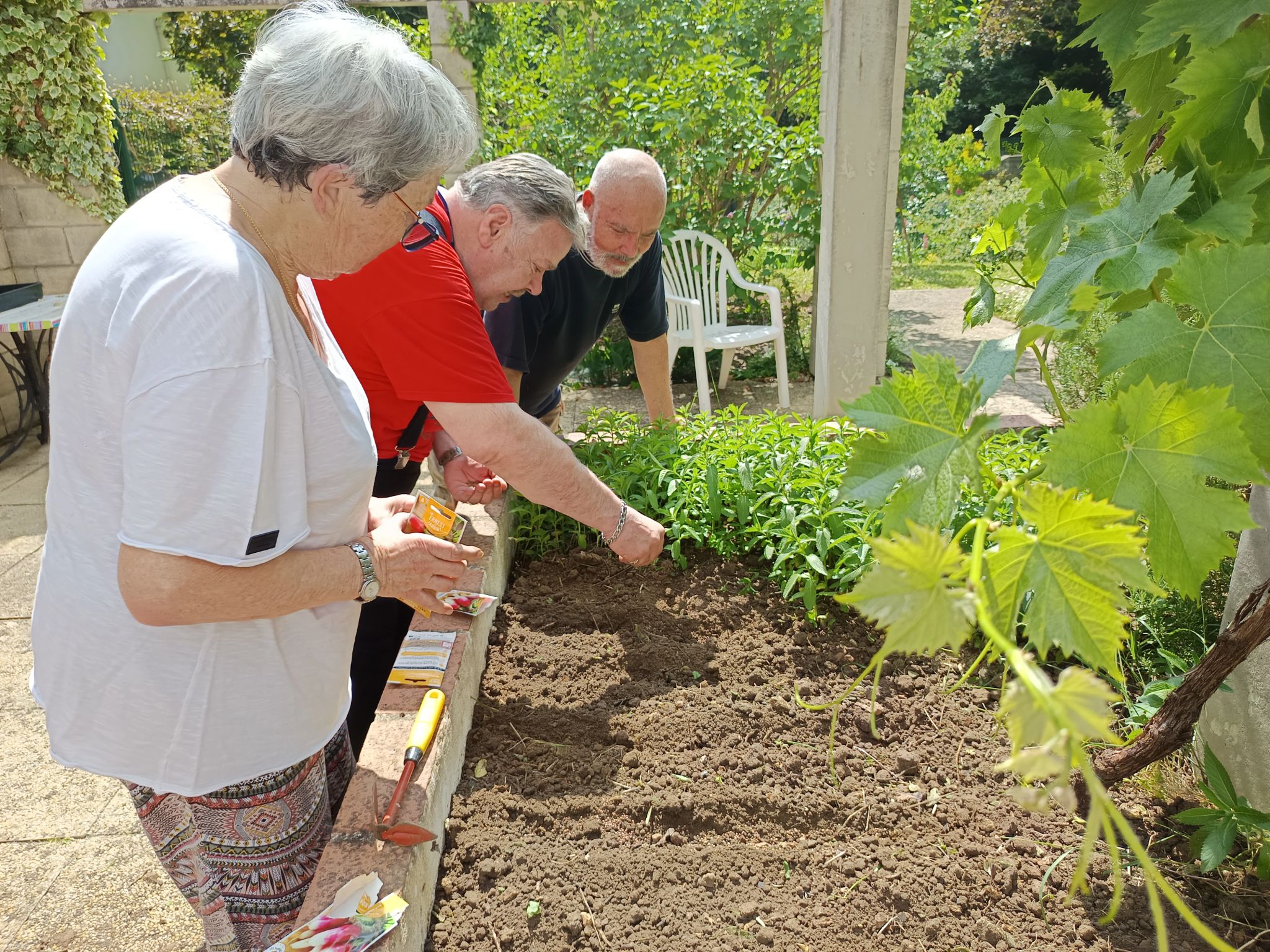 jardinage jardinage