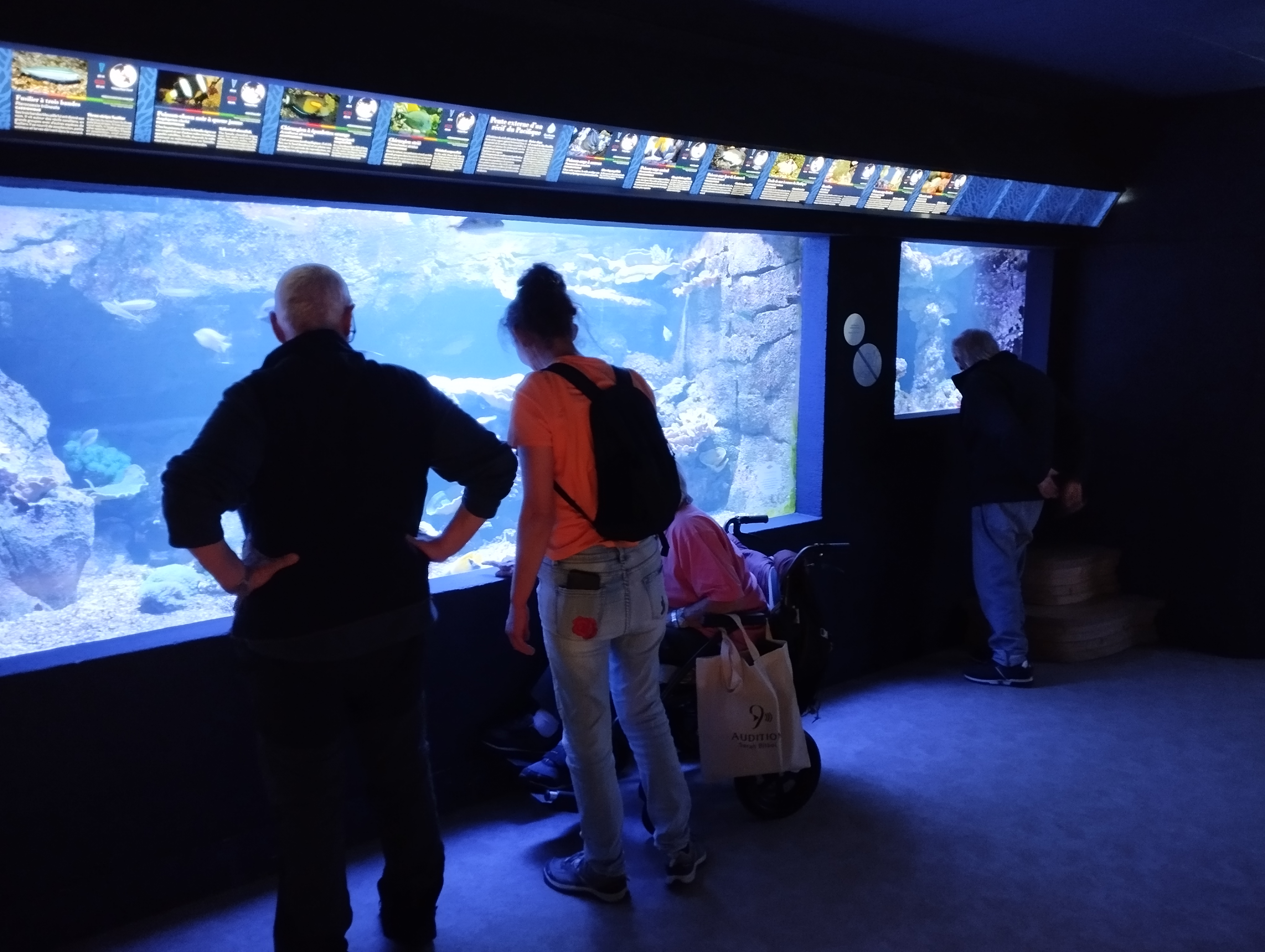 Aquarium 