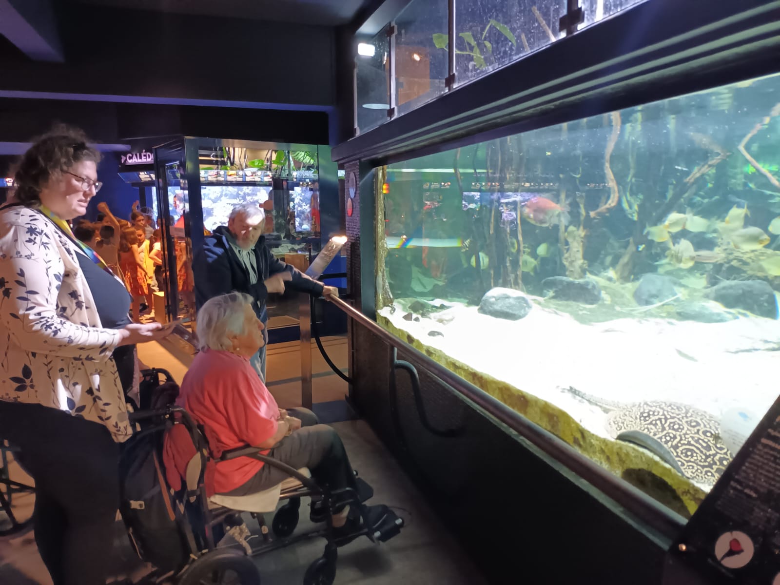 Aquarium 4