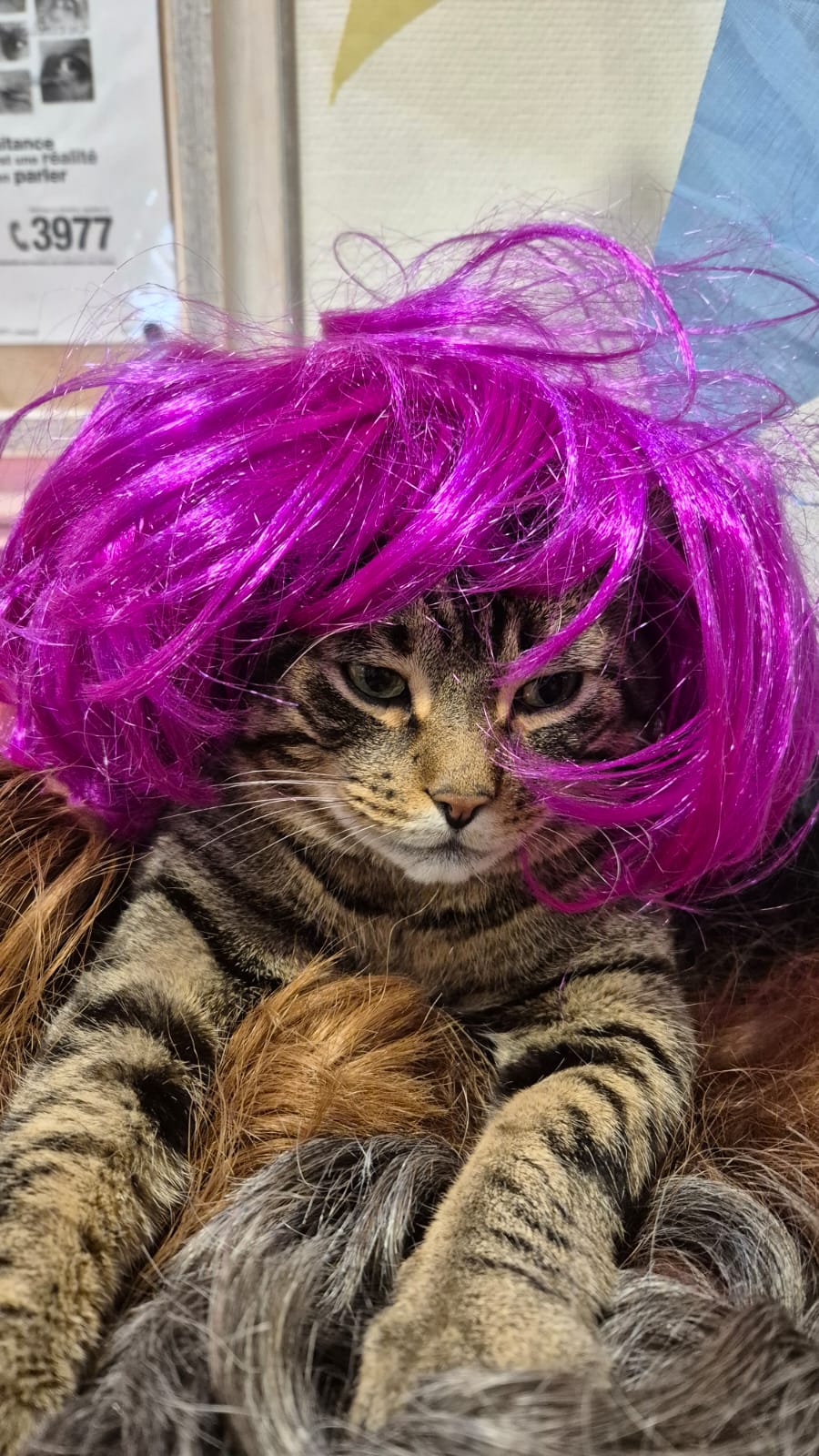 CARNAVAL