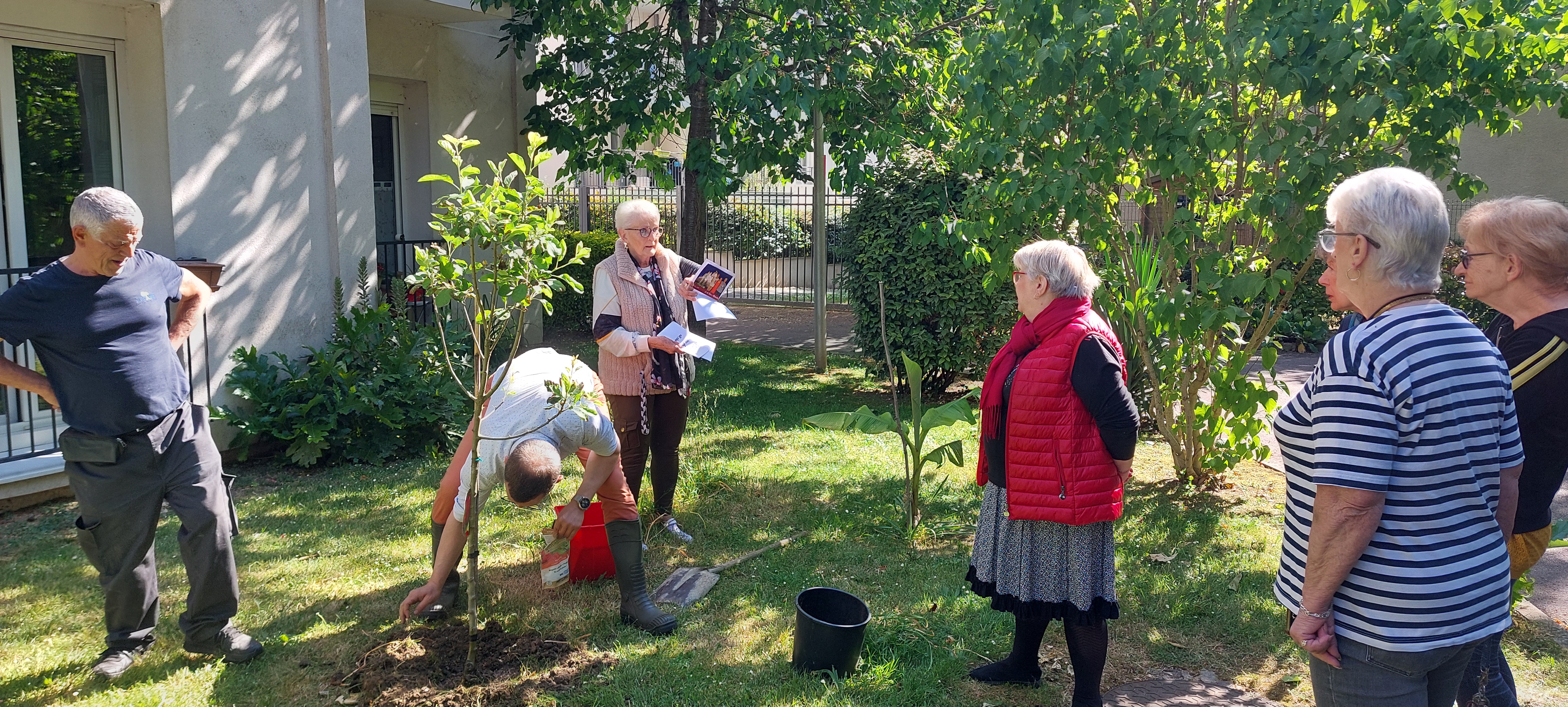 PLANTATION PLANTATION