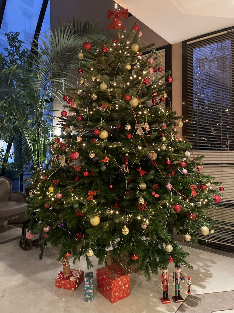 que la fête commence