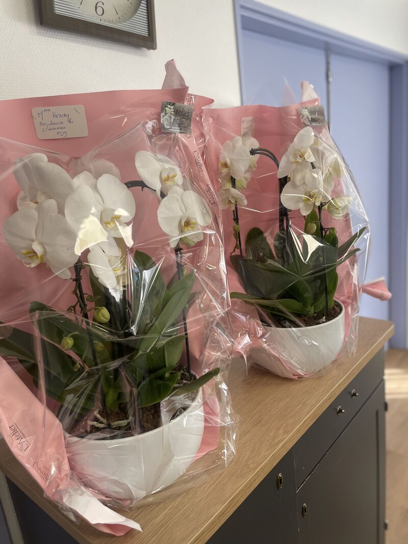 ANNIVERSAIRES ANNIVERSAIRES