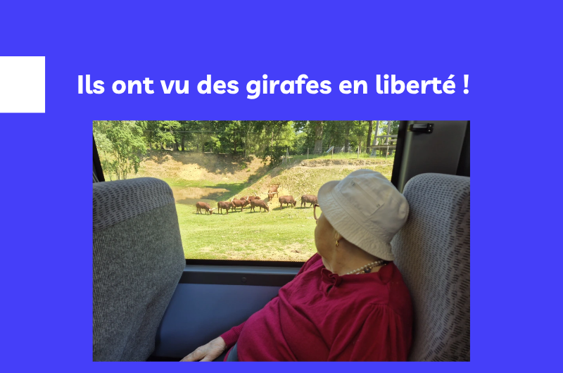 NL ARPAVIE - Ils ont vu des girafes en liberté nl arpavie juillet