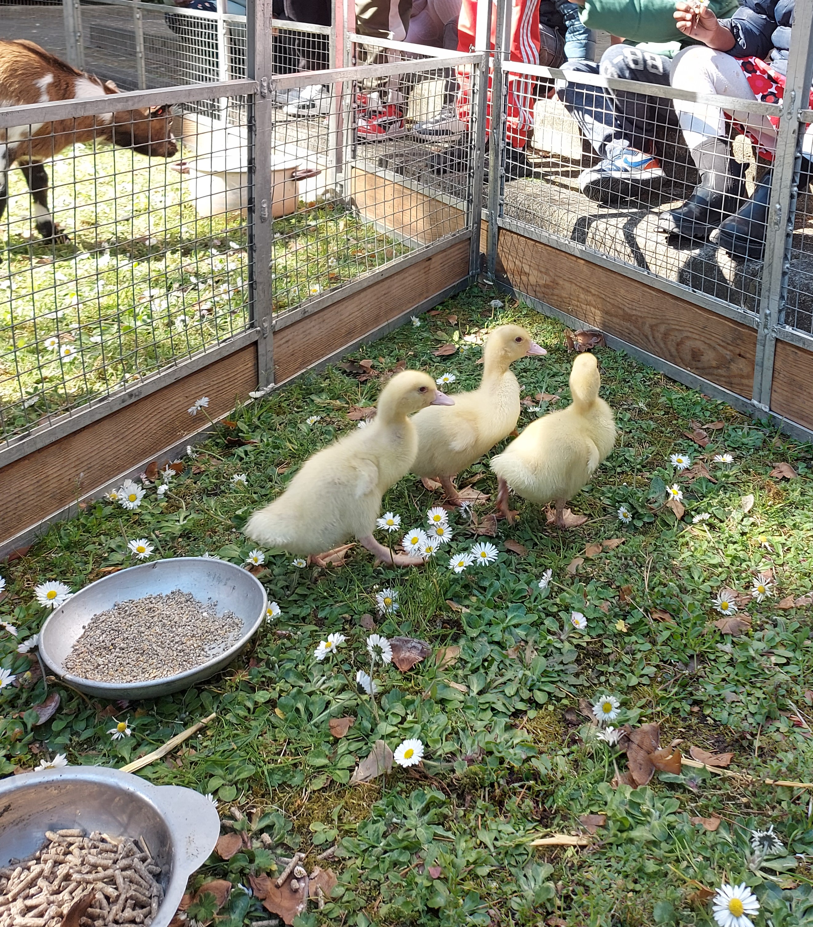 FERME