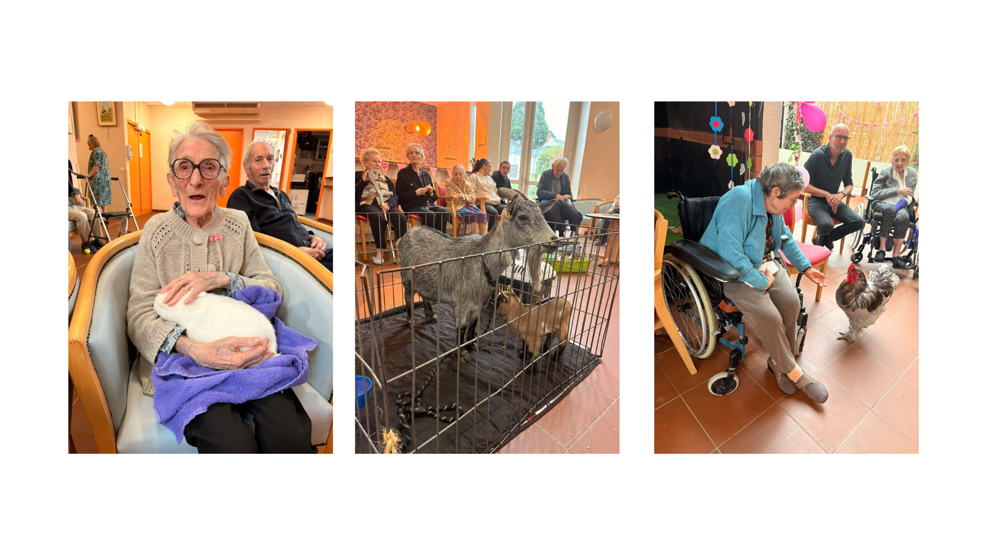 FERME ITINERANTE FERME ITINERANTE