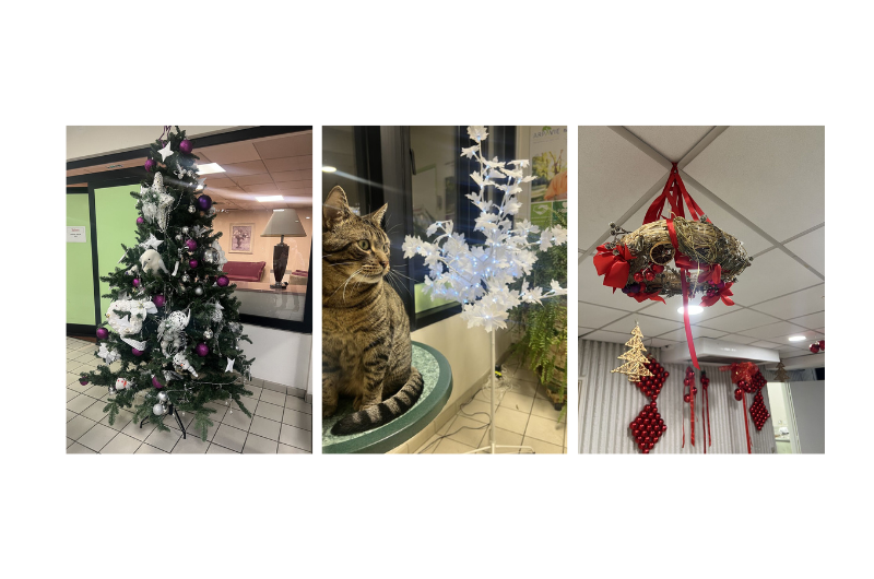  décorations de noel 