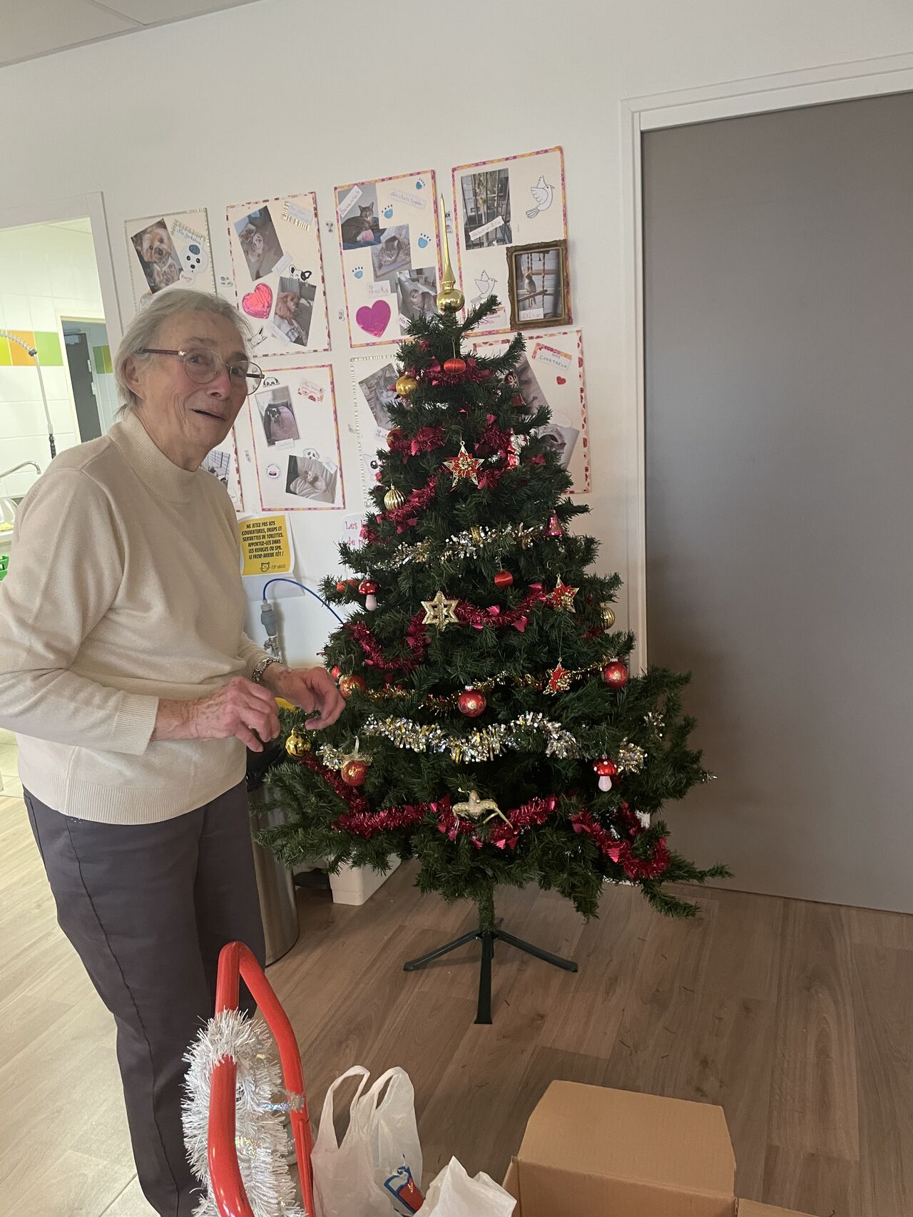 PREPARATION MARCHE DE NOEL