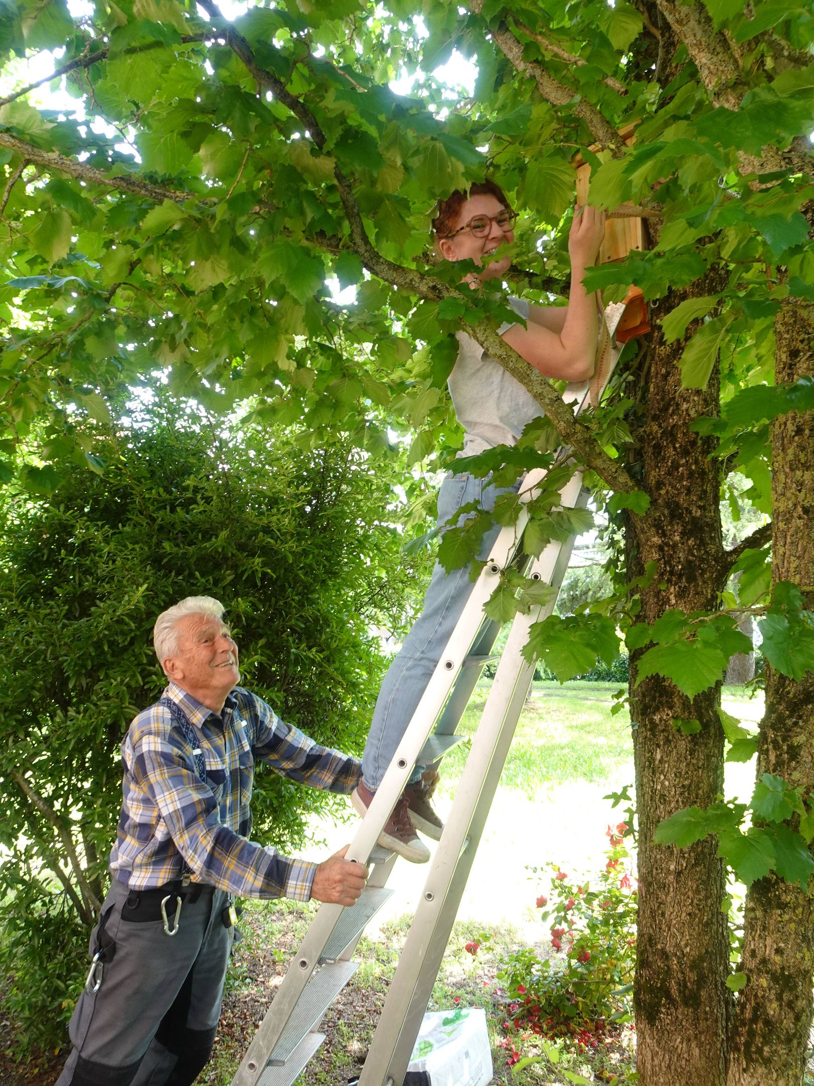 Biodiversité